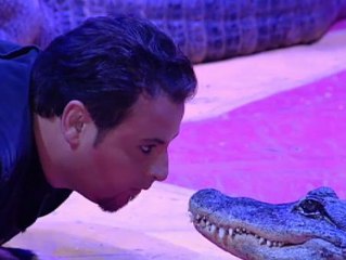 El Parlamento catalán sigue adelante con la prohibición de los animales en el circo