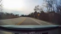 Shocking dash-cam footage captures moment goose electrocutes itself on Illinois powerline