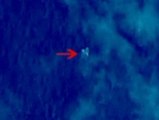 Un satélite capta imágenes de posibles fragmentos del avión malayo