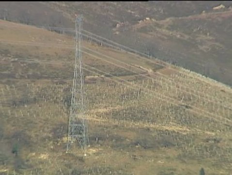 Red Eléctrica de España reforesta el Bosque de El Remendón en Turtzioz (Vizcaya)