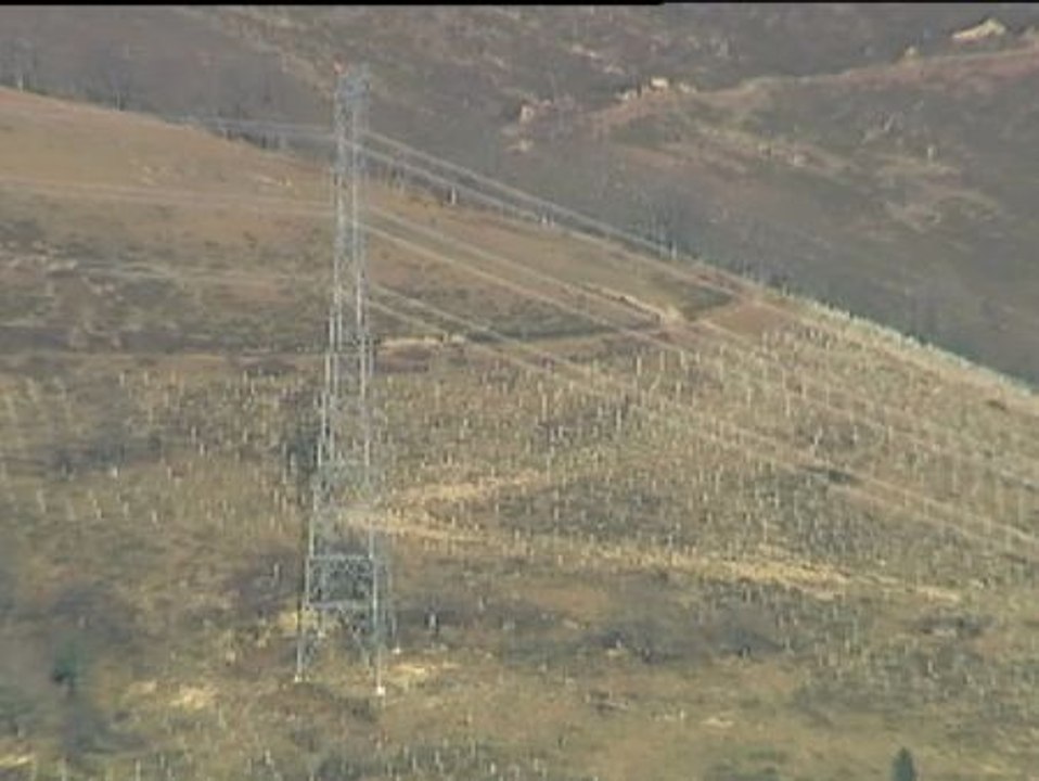 Red Eléctrica de España reforesta el Bosque de El Remendón en Turtzioz (Vizcaya)