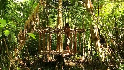 Bushman Build An Alien House Inside The Amazon Jungle