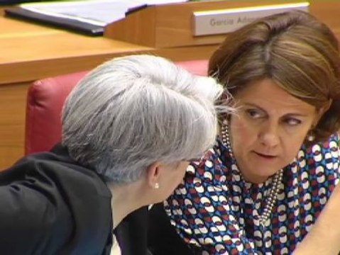 Una comisión de investigación analizará si la vicepresidenta de Navarra intentó favorecer a sus clientes