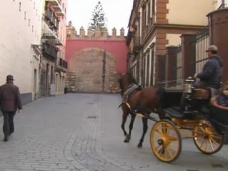 Controles de alcholemia a los cocheros de Sevilla