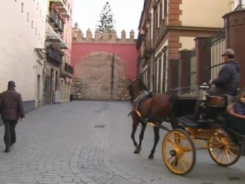 Controles de alcholemia a los cocheros de Sevilla