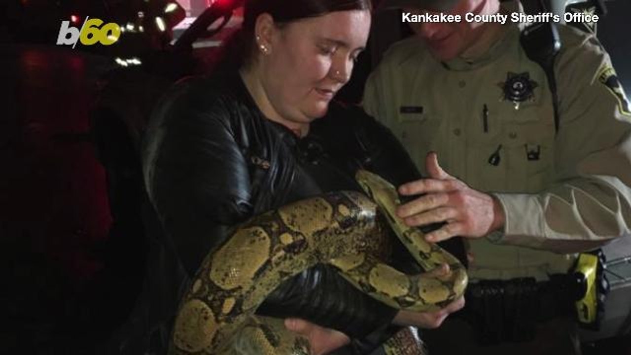 Slither & Scorch! Police Rescue Family’s Pet Snake From House Fire!