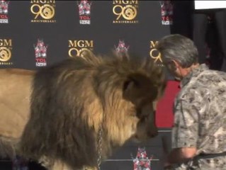 El León de la Metro deja su huella en el Paseo de la Fama