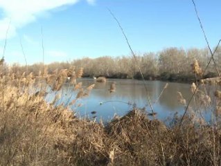 De depuradora a oasis de la biodiversidad