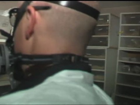 Hallan 400 serpientes muertas en una vivienda