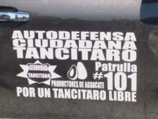 Grupos de autodefensa para luchar contra el crimen organizado