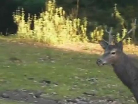 La Junta de Andalucía no quiere que el Gobierno venda una finca que fue expropiada a la familia de Ruiz Mateos
