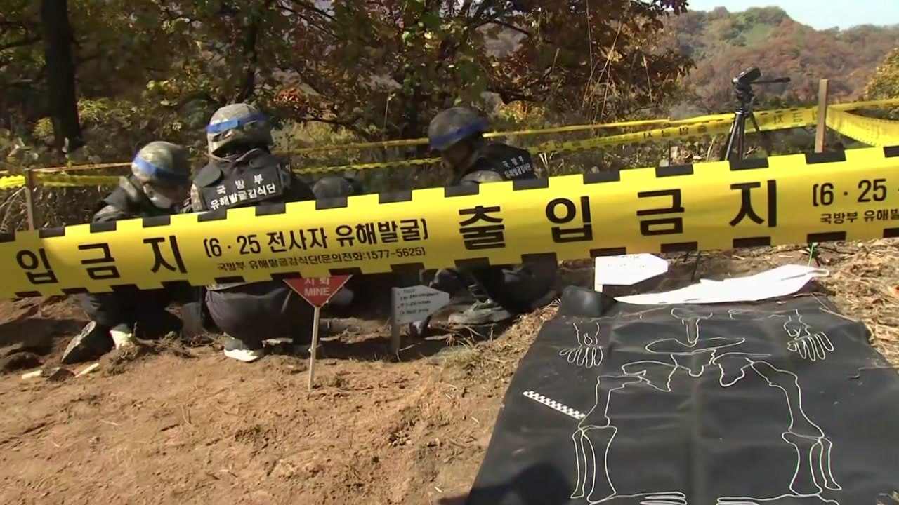 南 홀로 유해 발굴...北 연락사무소 정상화 / YTN