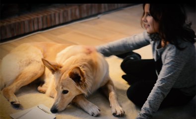 El vídeo navideño del Pacma