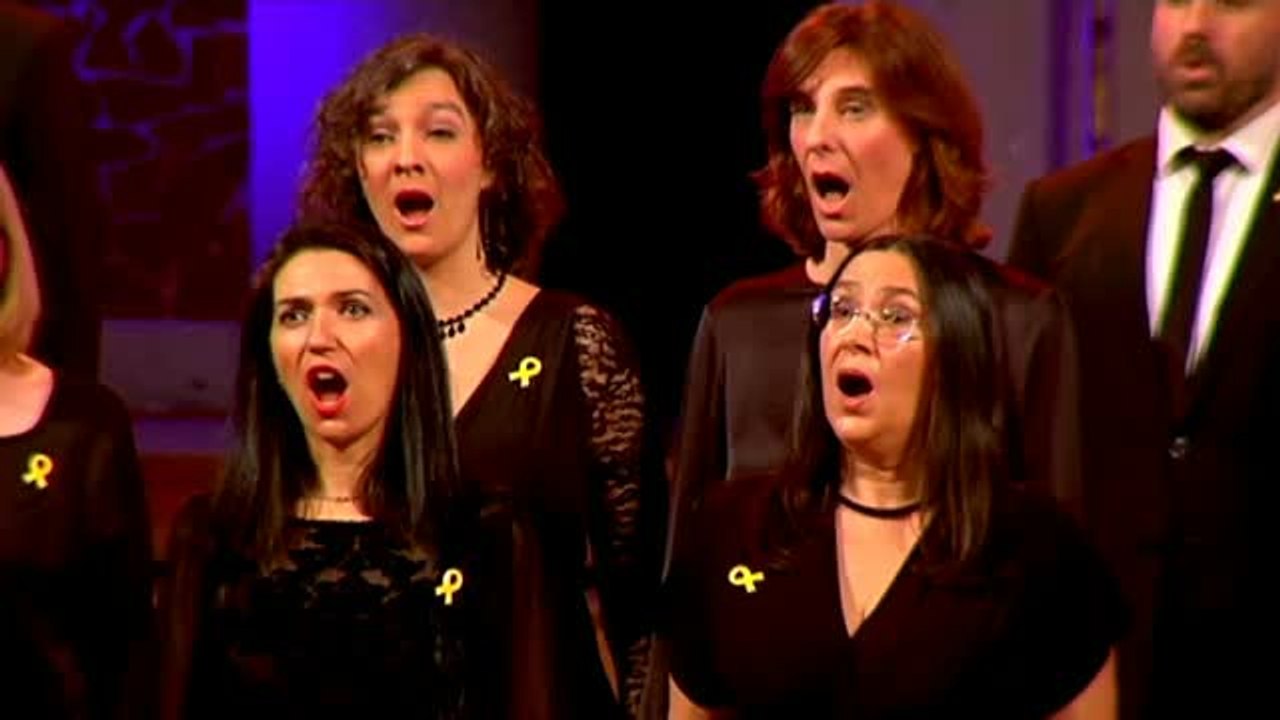 Esteladas y gritos en favor de la independencia en el concierto de Sant Esteve