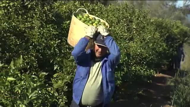 Llamamiento contra el uso indiscriminado de insecticidas y fertilizantes