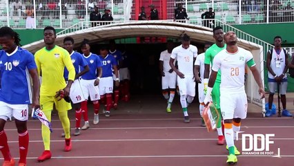 DOC ÉLÉPHANTS | En route pour la can 2019