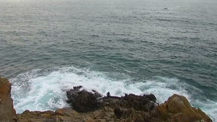 La arriesgada pesca del percebe