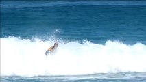 Un brasileño consigue ser el mejor surfista del mundo