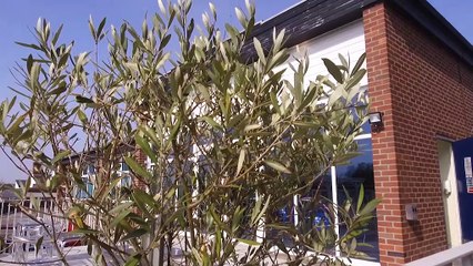 GOODLINES: 2nd April 2019