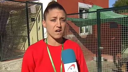 Adoptan perros en Navidad