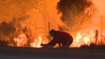 Las llamas continúan imparables en el incendio que azota a California
