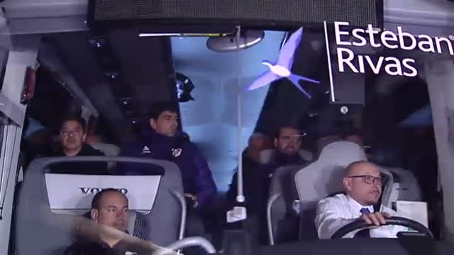 El capitán del River, Leonardo Ponzio, asegura que solo remediarán con resultados el dolor de los aficionados