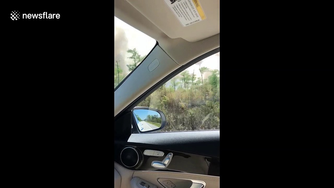 Florida Everglades fire marshals set ‘prescribed fires’ to reduce future outbreaks