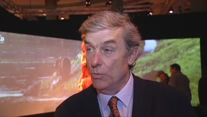 Un safari anatómico en Sevilla para conocer más de cien animales diferentes