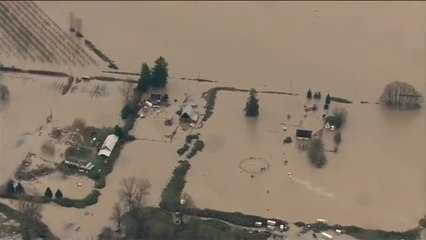 Download Video: La crecida del río Skagit provoca graves inundaciones en el estado de Washington