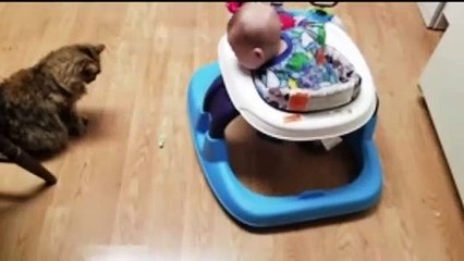 Naughty Baby and Cat Playing Together - Funny Baby and Pets Videos