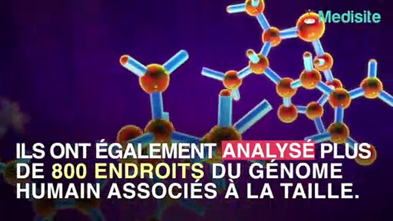 Maladies Cardiovasculaires : Être petit augmente les risques.