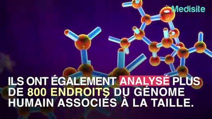 Maladies Cardiovasculaires : Être petit augmente les risques.