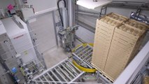 Aberle deep-freeze warehouse -24, conveyors and stacker crane´s