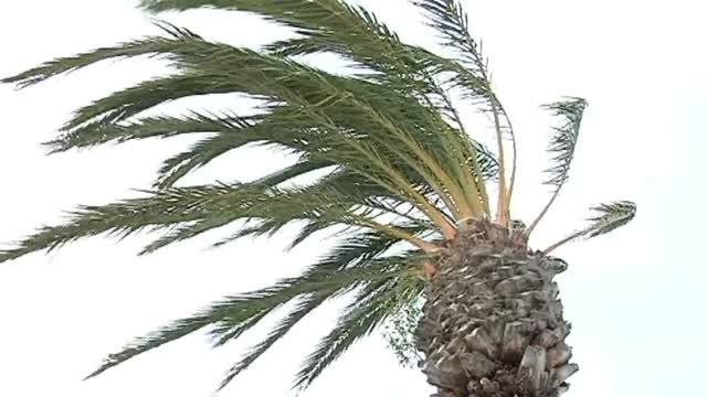 Quince provincias en alerta por rachas de viento que en algunas zonas superarán los cien kilómetros