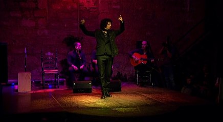 Presentación del proyecto para la celebración del Año Internacional del Flamenco