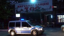 - Antalya’da hayvanat bahçesinden kurt kaçtı