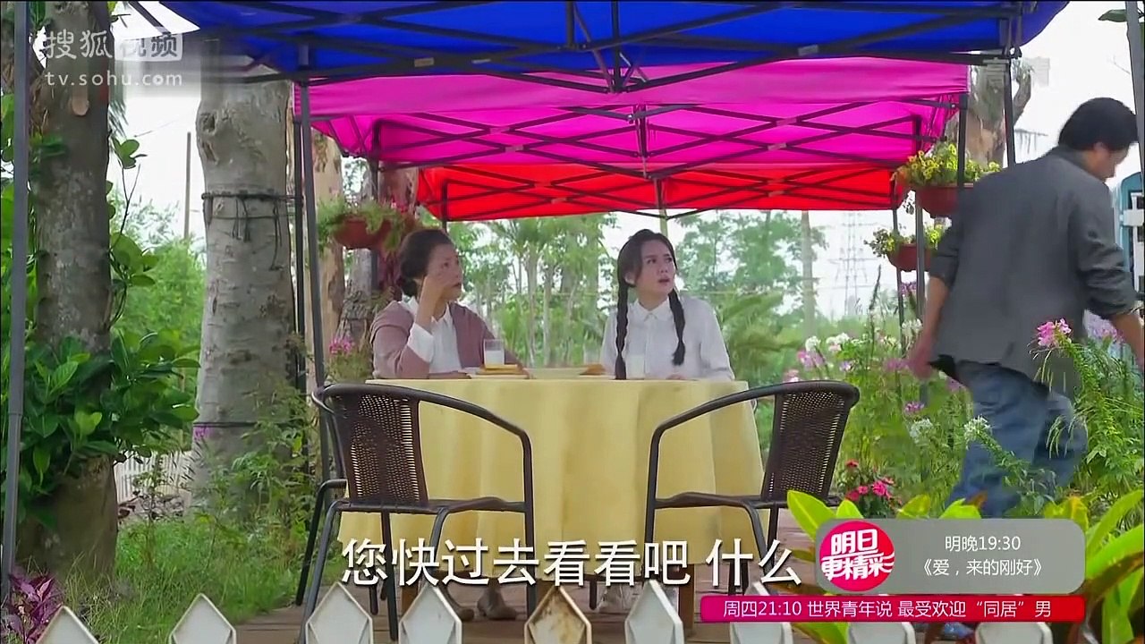 爱，来的刚好第31集预告片