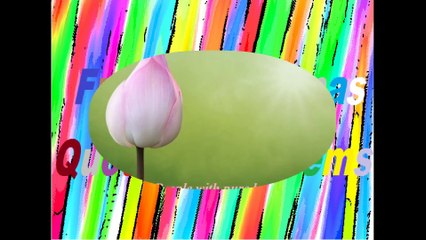 People with pure hearts, the world don't have much [Quotes and Poems]