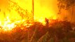 Los investigadores creen que los incendios de Galicia fueron intencionados