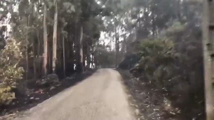 Óscar Pereiro cuelga un desolador vídeo de las zonas afectadas por los incendios de Galicia