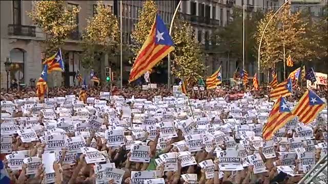 ¿DUI o elecciones o ambas?