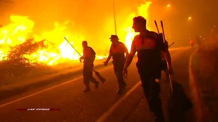 Sin pruebas de trama organizada