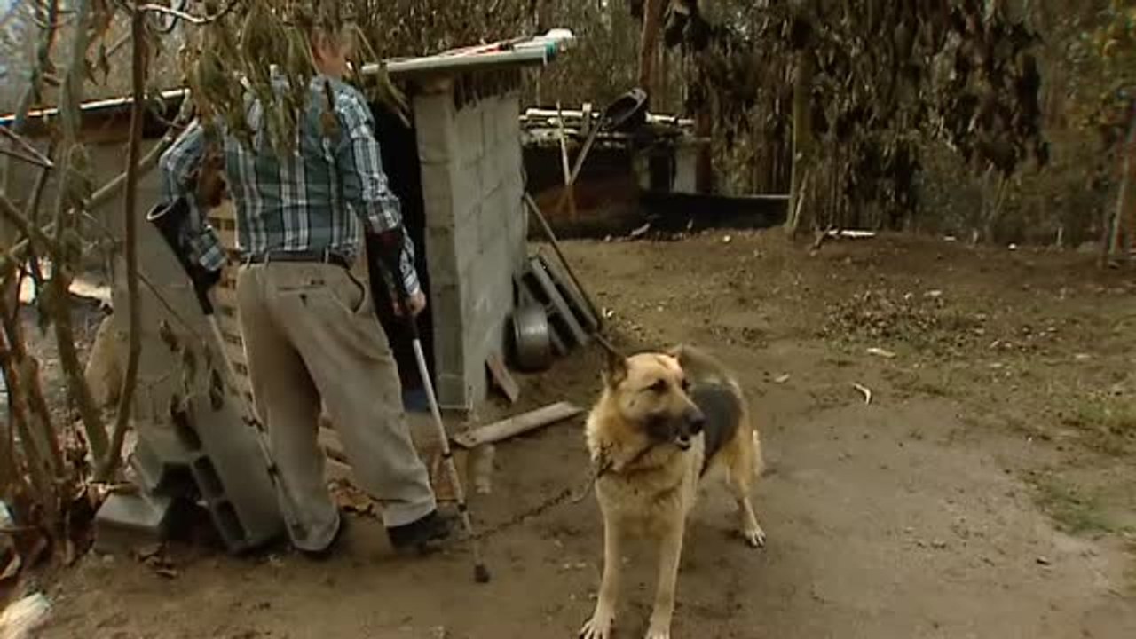 El concejo de Nigrán, una de las zonas más afectadas por los incendios, deja muchas historias de supervivencia