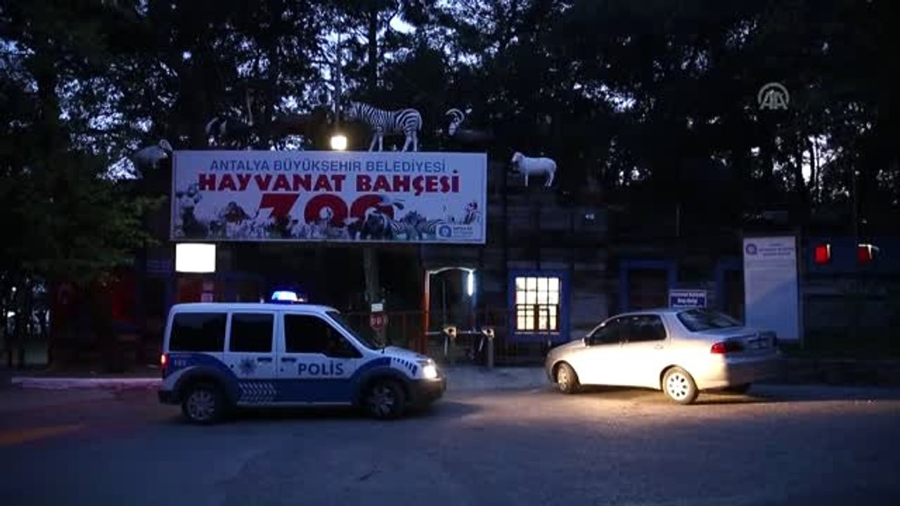 Hayvanat Bahçesinden Kurt Kaçtı