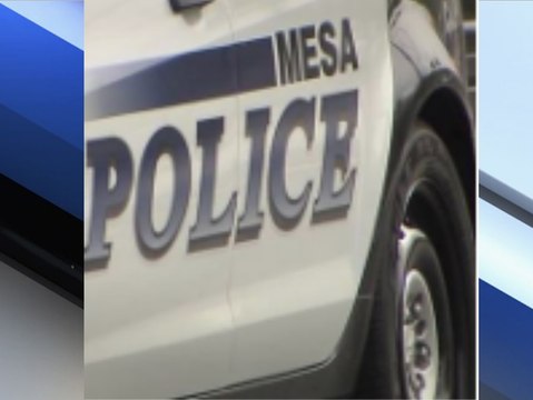 PD: Teen arrested for sexual assault at Mesa park - ABC15 Crime
