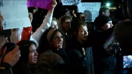 Miles de alemanes se echan a las calles tras la irrupción de la ultraderecha en el Parlamento