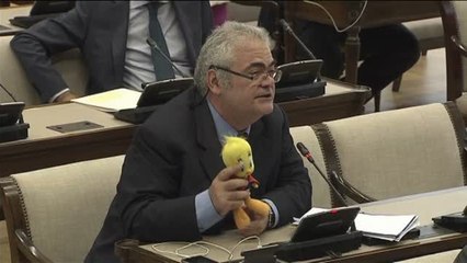 El PDeCAT al PP en comisión de Interior: "Retiren la &#039;Brigada Piolín&#039;, que se lo ha pedido incluso la Warner Bros."