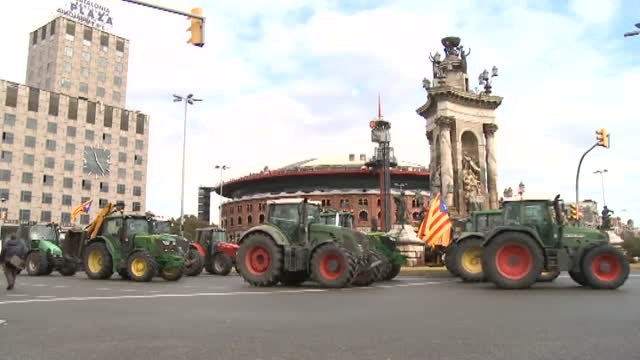 Esteladas contra Piolín