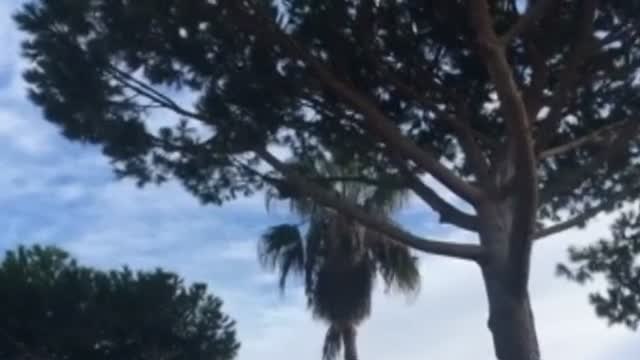 Muere un piloto durante una exhibicion aérea en Italia