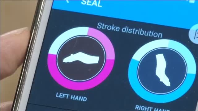 Unos anillos permitirán medir la fuerza de los movimientos en el agua